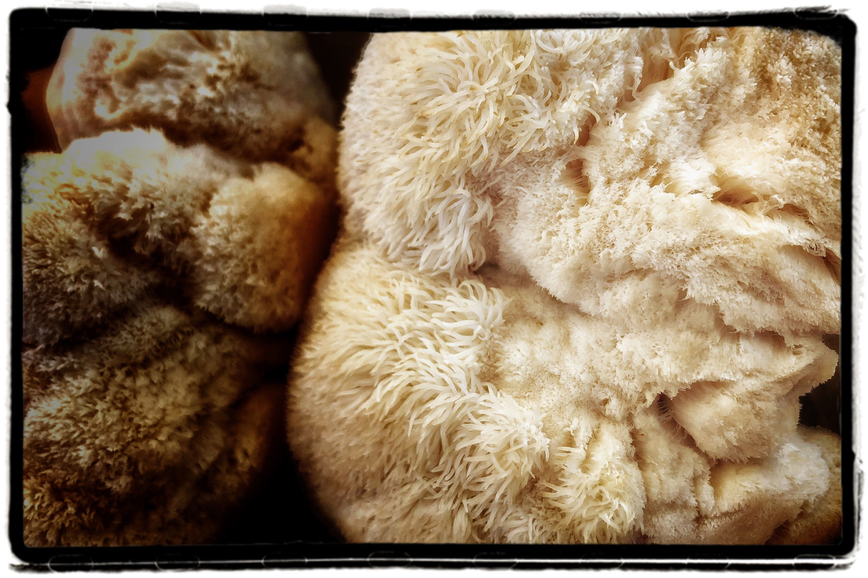 Farmers Market Produce